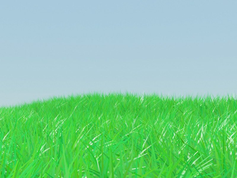 Grass